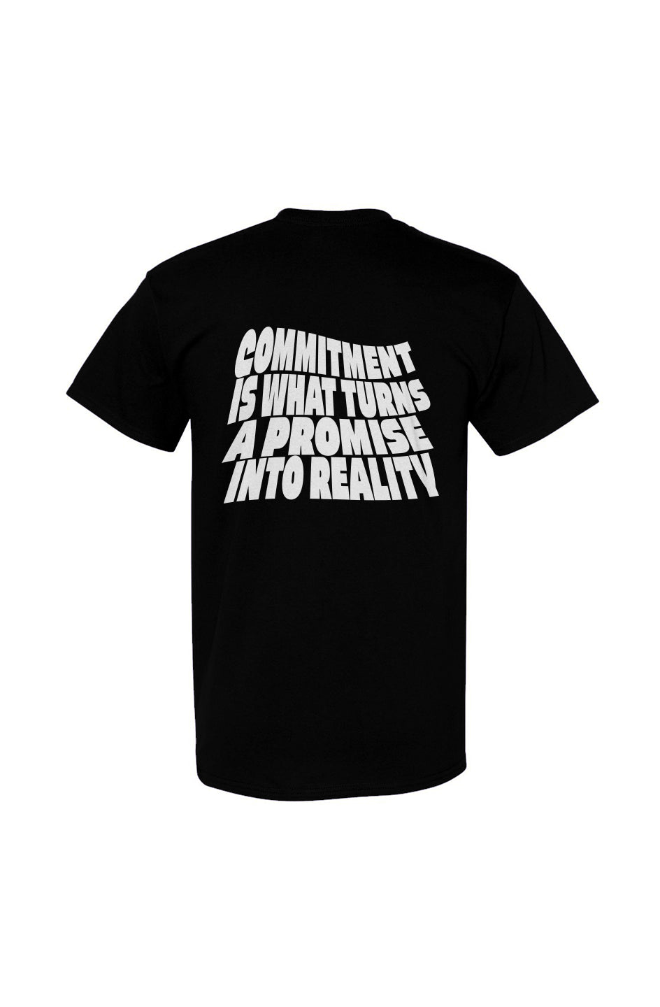 Promise to Reality